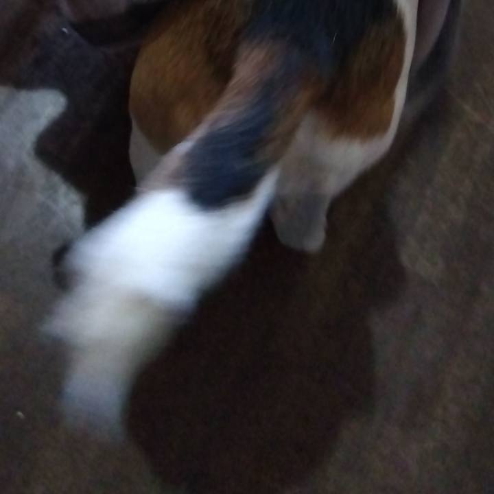 A8074cc8 1714 4326 9398 4cb7132da84a 1700663833248