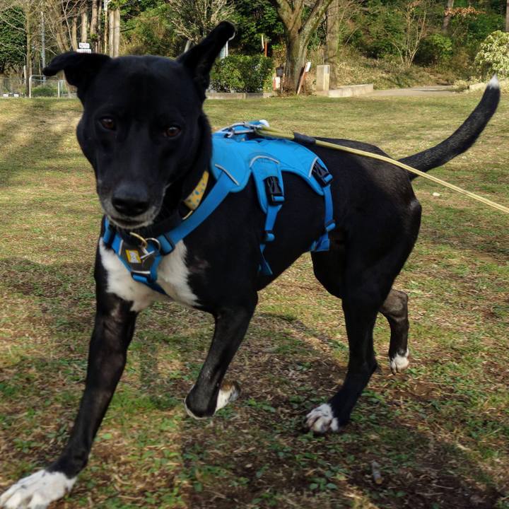 A8075ee9 e784 423f ac45 1c35be179b88 1615507203892