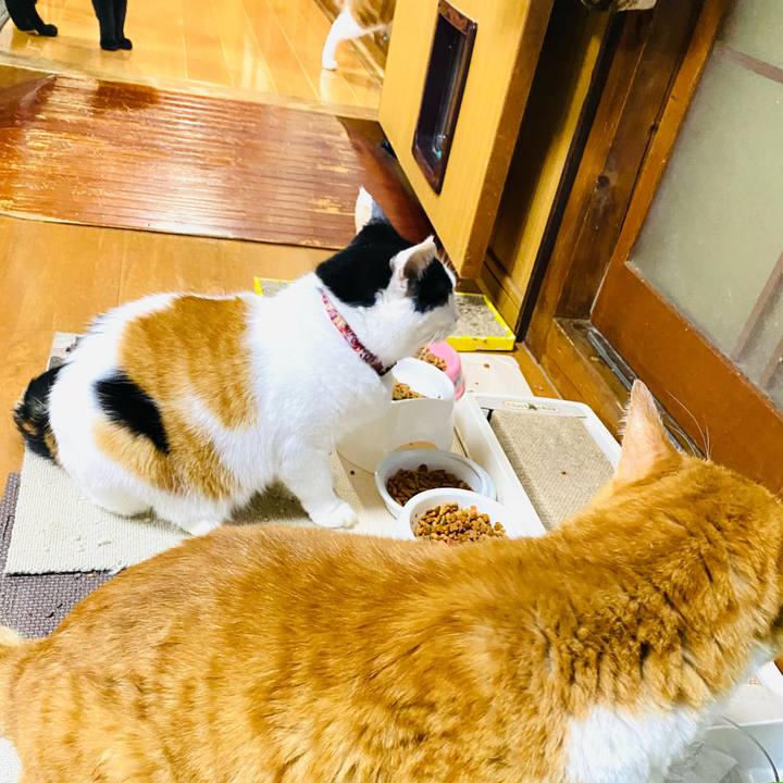 A807b938 9341 4d3c 99af b120e7f9b7f4 1696542804445