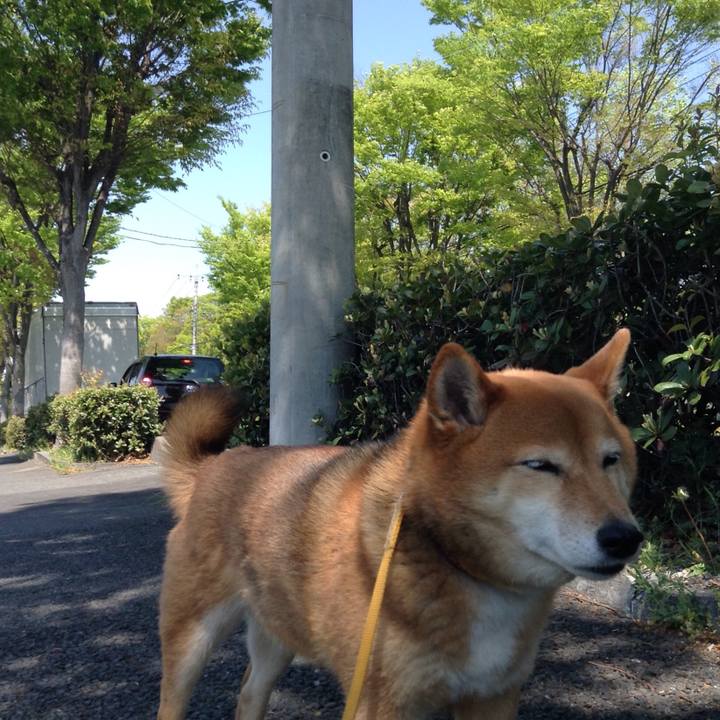 A807ded4 d0a7 46a9 abf0 ef30343e3c37 1523244816242