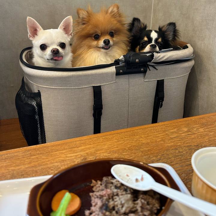 A807f60c ab77 4c47 8979 257ceaff76a5 1764280717606