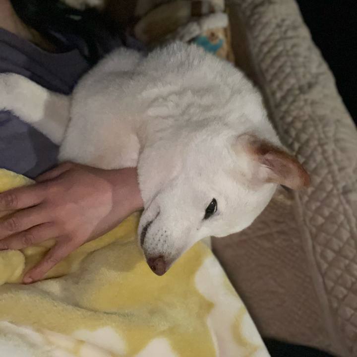 A8081518 b139 41f5 80d1 43b9cdcbd72f 1648822795475