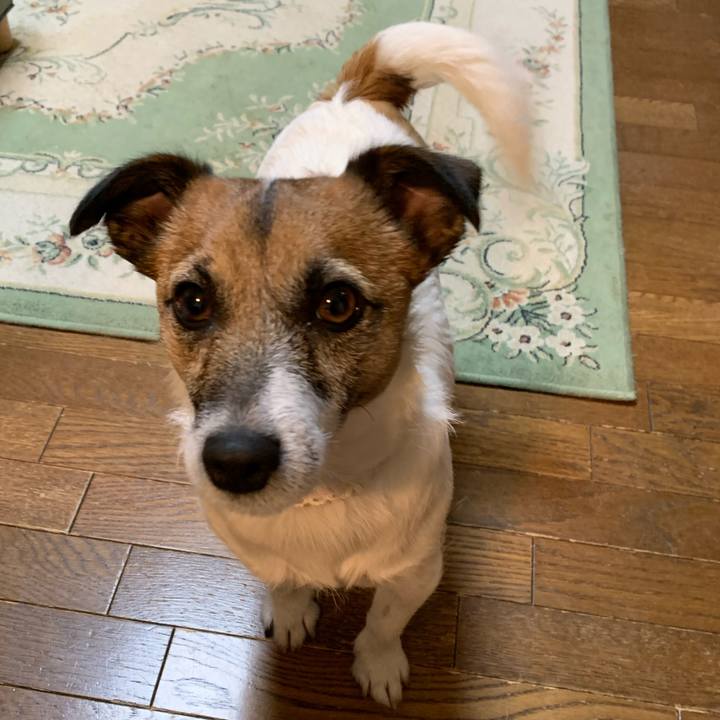 A8085537 715e 4e4a 8ffd 402b22abb6cb 1576067846788