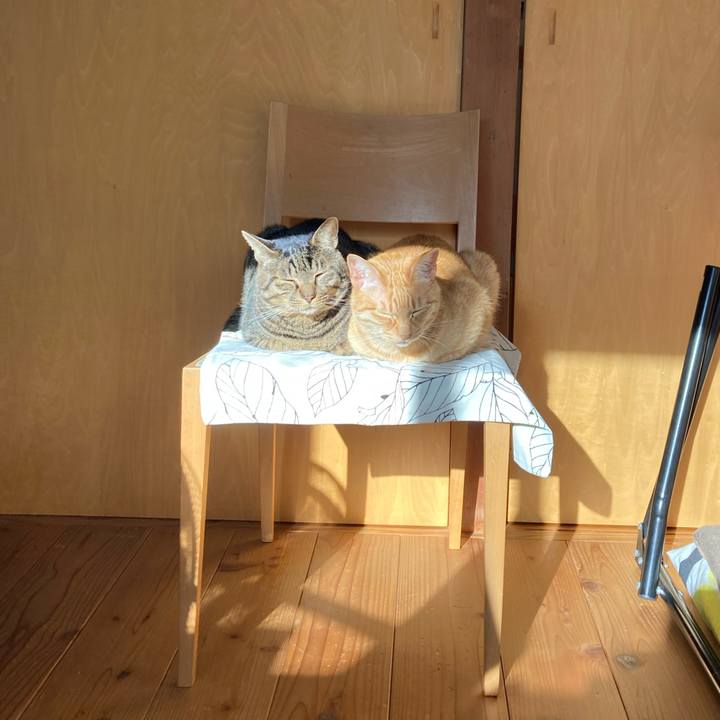 A80879e5 7421 4586 8325 26e29b708579 1709944692436