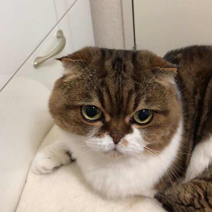 A808b32e 8f10 4a71 8ec0 9d8affbbf1ae 1542427434433