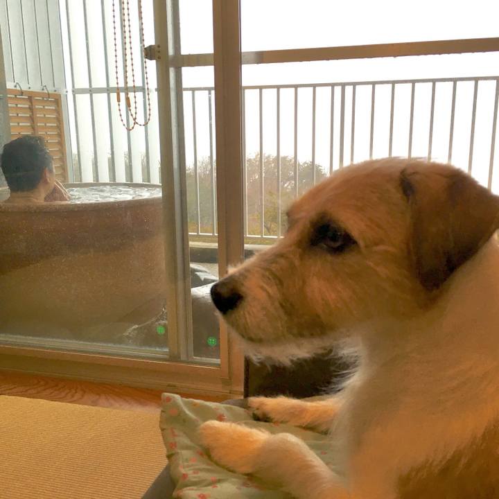 A808ee14 9cfe 44f5 bda4 950aabfae8ea 1566867000380