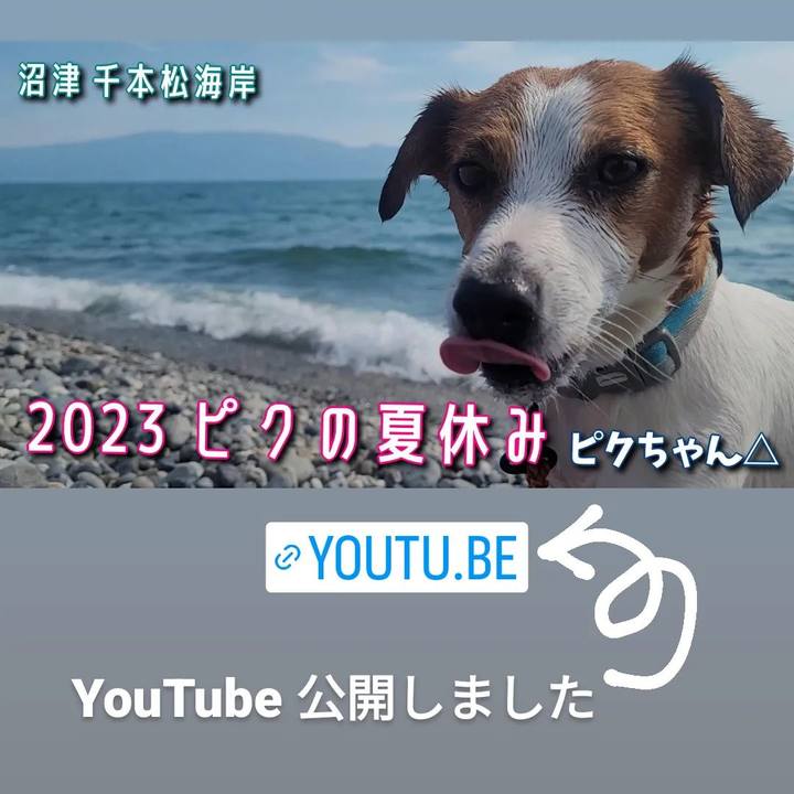 A80902e6 b8f3 4465 9c24 70e2117c4ec0 1689937547509