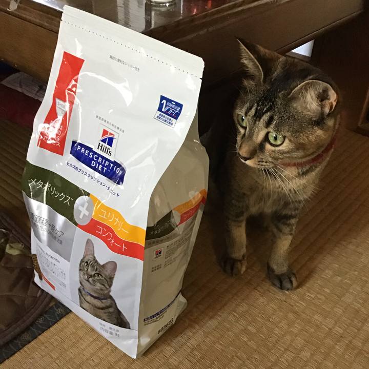 A80928a7 bd2f 4ccb 8bc7 fda2a32900ef 1601177263386