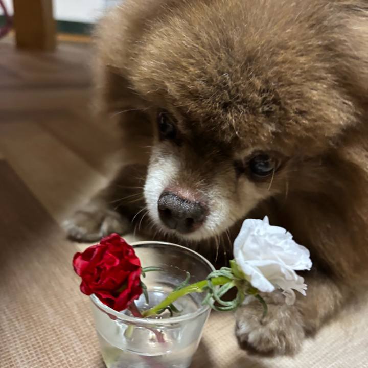 A8093202 46ca 4907 a094 f22f292d34d5 1759448125147