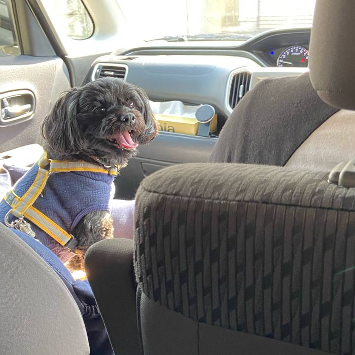 A8093dd2 3818 4b22 8272 2cbe478b252c 1614042046213