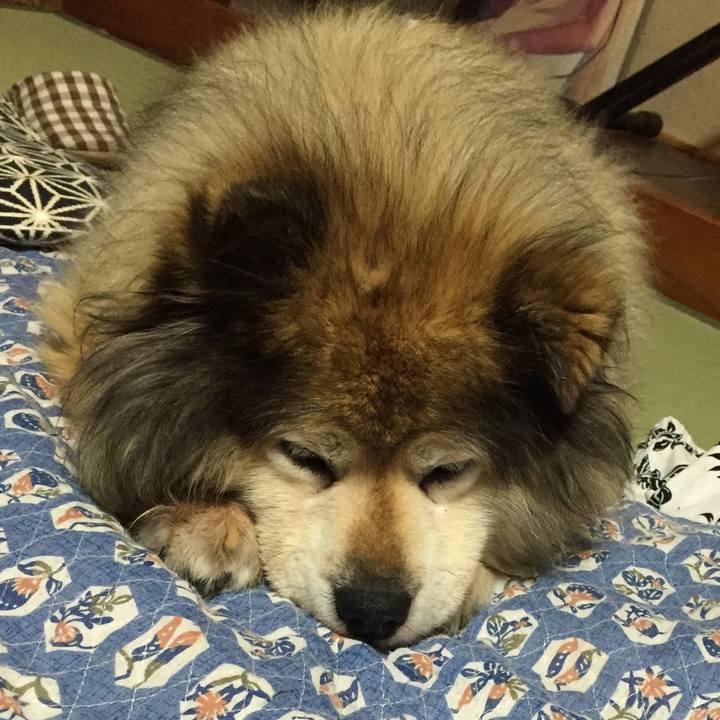 A809874a 03a1 466b b3af 6c25a0aa734d 1594650195819