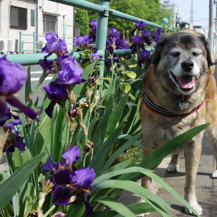 A809ddf6 97ea 4056 9dba db9d5ea74a5f 1636159474197