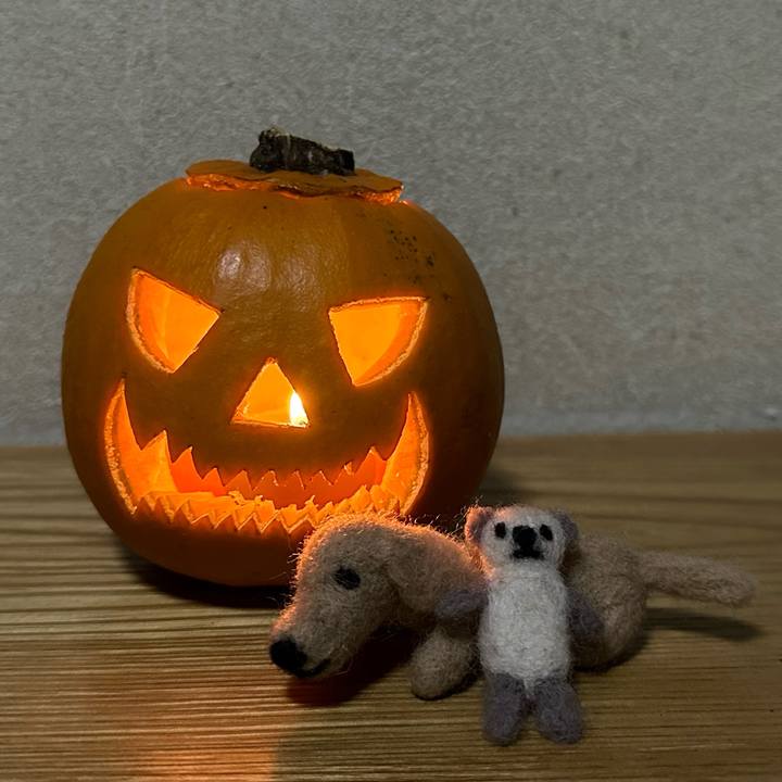 A809e7d7 eb21 4abb af08 f2d32a07c26c 1730109157521