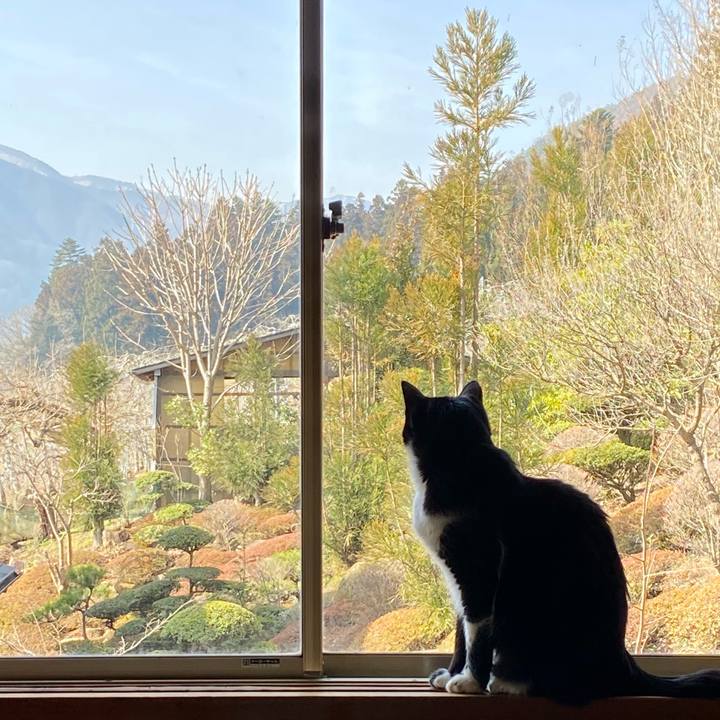 A809f6ad 721f 4354 9b1a 50e7c78bf53a 1616311206100