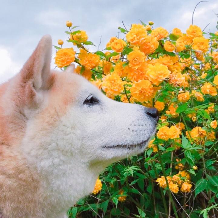 A80a456f 4e56 4168 8936 ff2b64f6f860 1523849309942