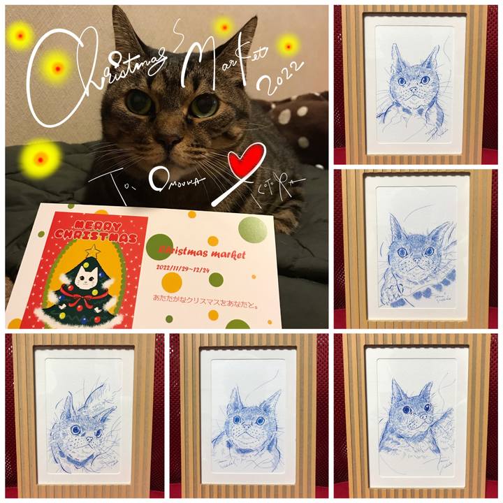 A80a69d4 5c99 4d4f a5c9 a4a56e792c3b 1669041424907