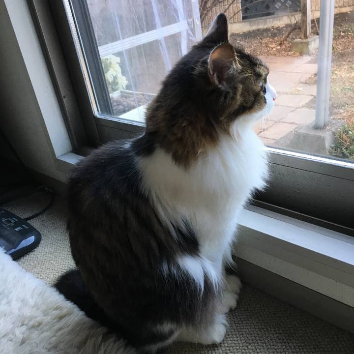 A80a6d15 ac28 4b22 9dc7 aebb6e617070 1515566359099