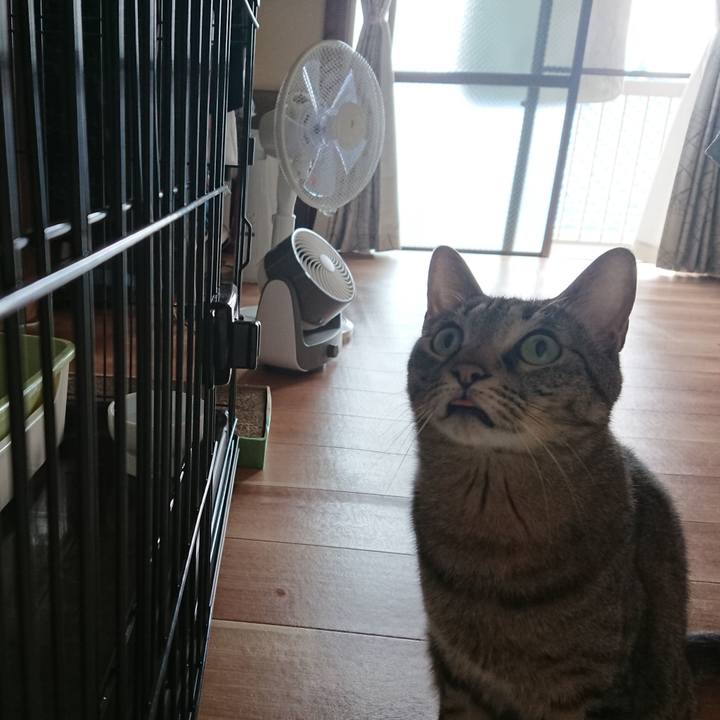 A80a6d4e 4aa8 4f76 979e 229ad1d09dfc 1525580990501