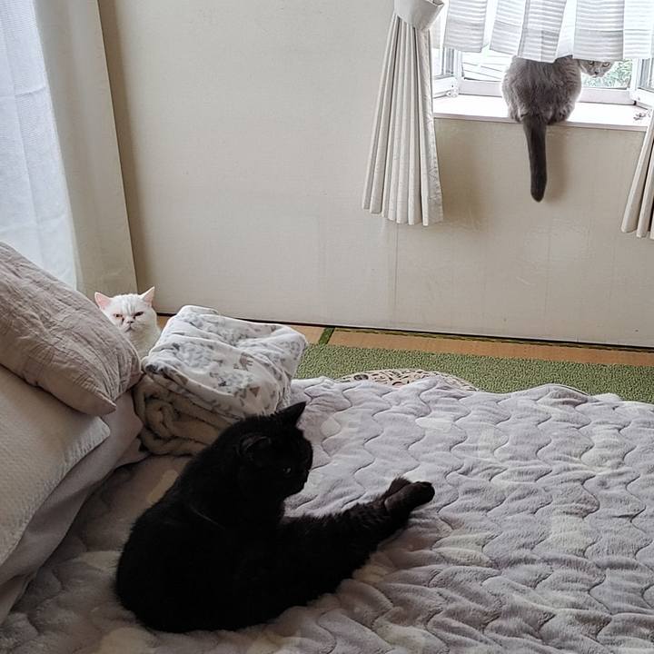 A80a8899 c14f 4044 a96d 75fb7ae6aa8b 1641785007130