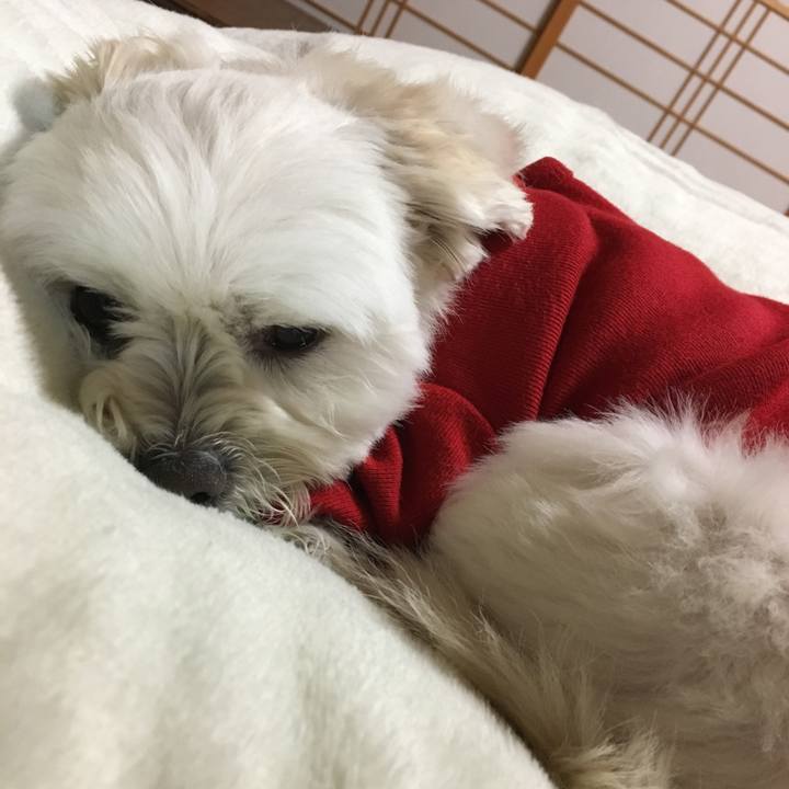 A80ad911 78be 43bc b735 4a39d6a8c52e 1519207748627