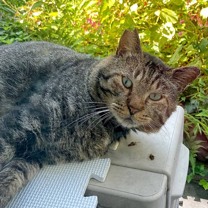 A80af241 b5e2 45f5 a20c 96d673e162ad 1632198756693