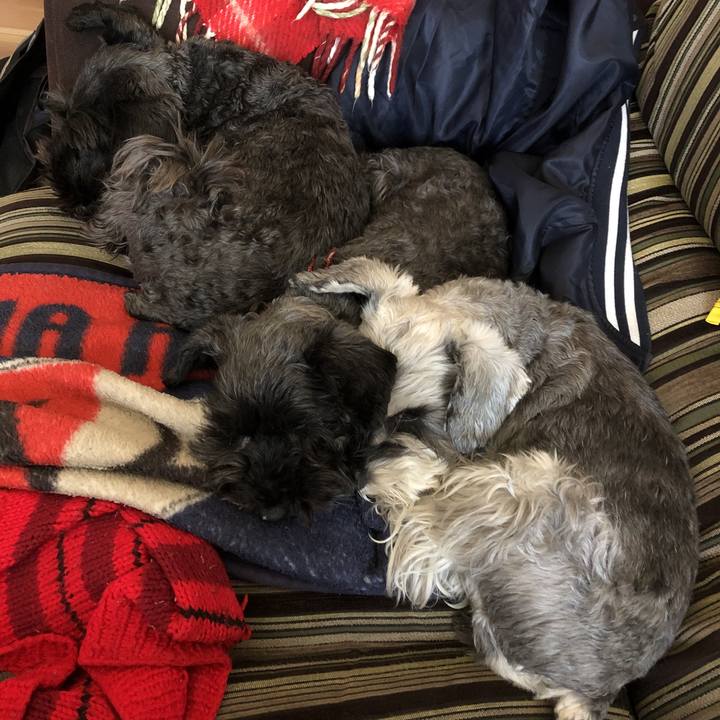 A80b0554 6740 4da3 a16b 3196b14d470f 1582848264951