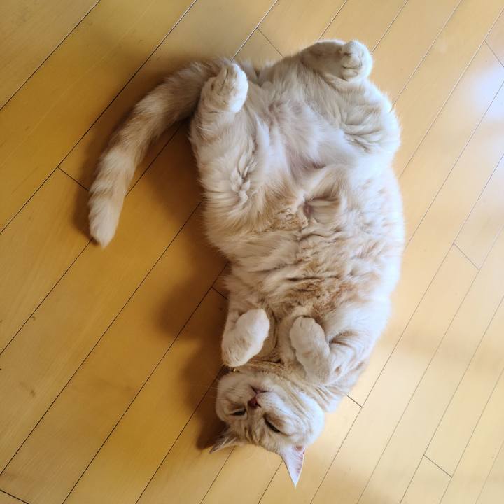 A80b11df a1aa 4aae 86fb 9291503b56cc 1627975867319