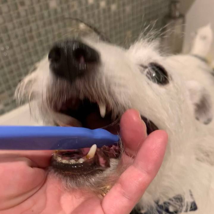 A80b1bdd fb02 4cfb b081 137099dbdf8d 1664368522037