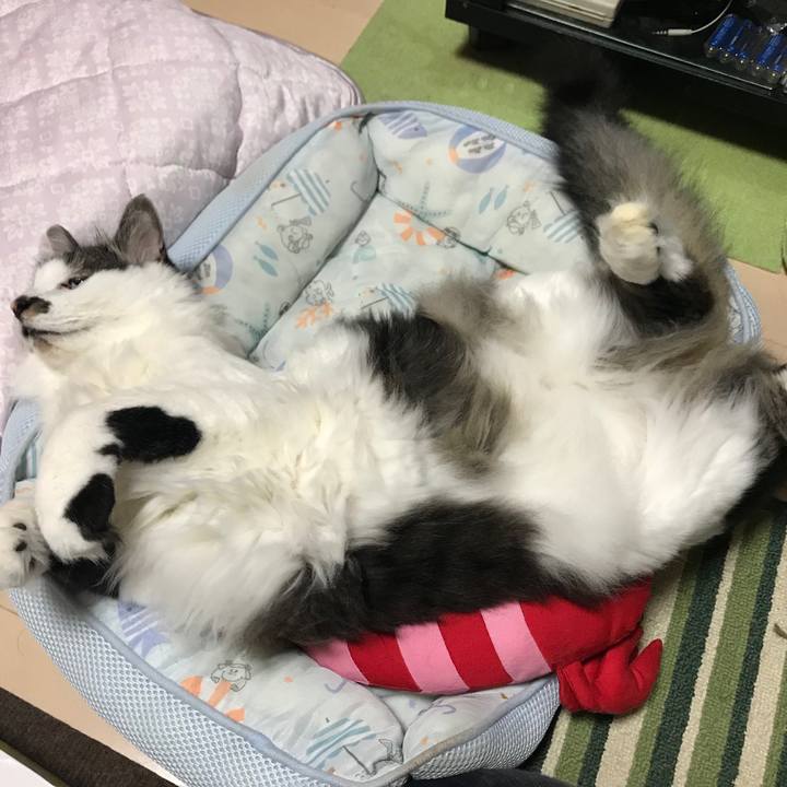 A80b2020 c9bd 4d25 88d7 2ef6a821188b 1562941774983