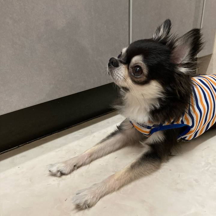 A80b4173 97df 4cf2 95ca 29dc27ca342a 1688913799004