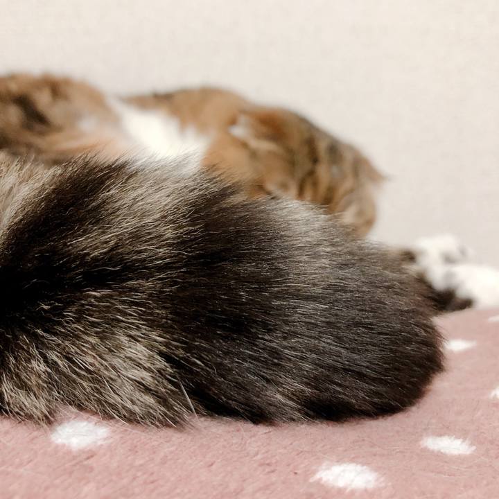 A80b6628 d6f7 43a8 9aae 98bd9f9c4e41 1556195185144