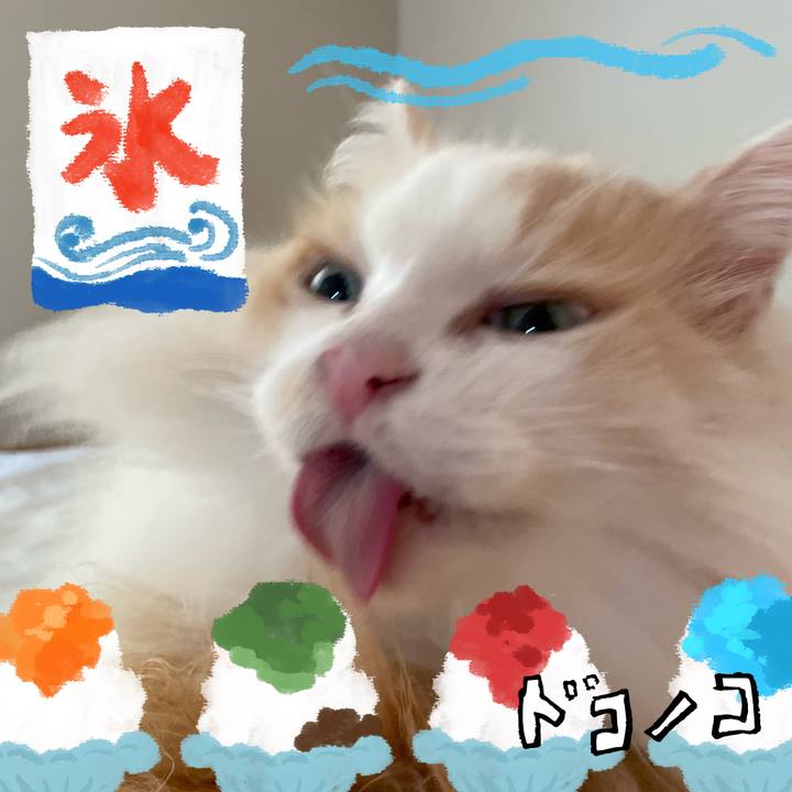 A80b7b73 7d06 4d38 9ead 5ed69365c92a 1723240933901