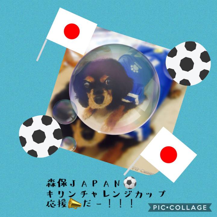 A80bb057 6e97 431a 94c8 4b1e5496ff64 1539342045131