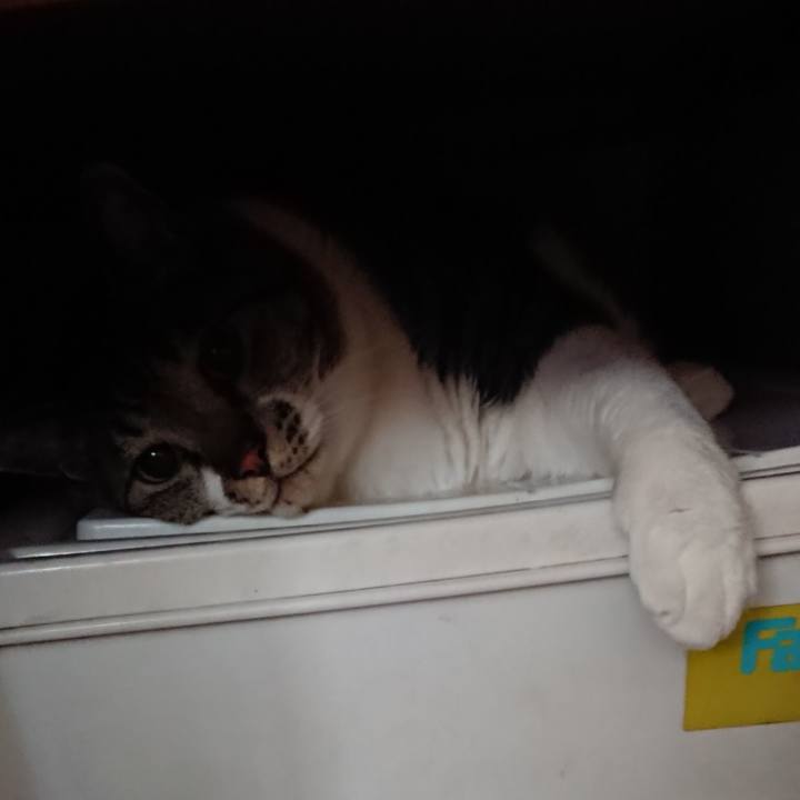 A80bb49a f826 471b 9b76 33ea1ec59613 1561348134347