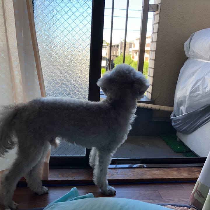 A80bb828 687a 4bc1 a2ee e748e303183f 1570929043394