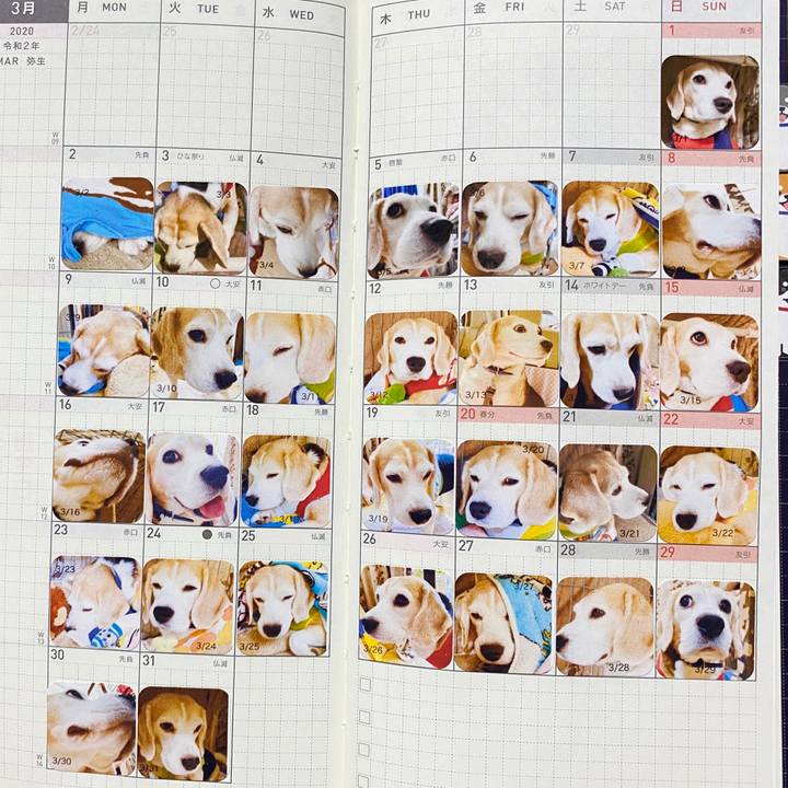 A80bff30 4b43 4b77 a528 1ffca147e91b 1587731031987