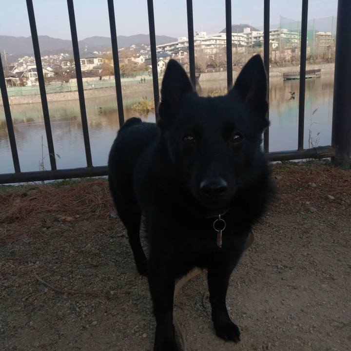 A80c0e16 98bc 4847 a3a5 eb253be9d29d 1613863828204