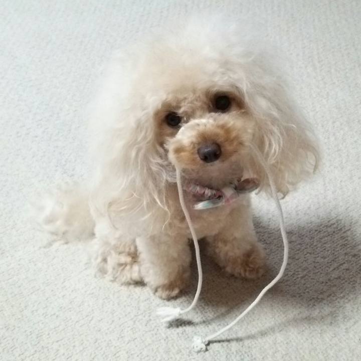 A80c2add fe72 49df 8f3d 84cacee9351a 1514460476712