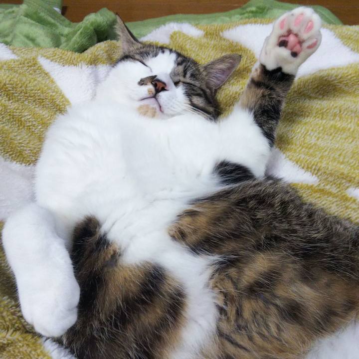 A80c2d5e 4962 43ad 8aec 6cd74d7e5506 1636195901198