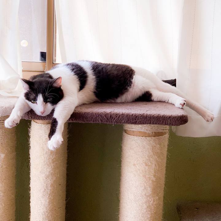 A80c3ca5 e4ca 4c71 9ae2 20ec42f80c1c 1564103107781