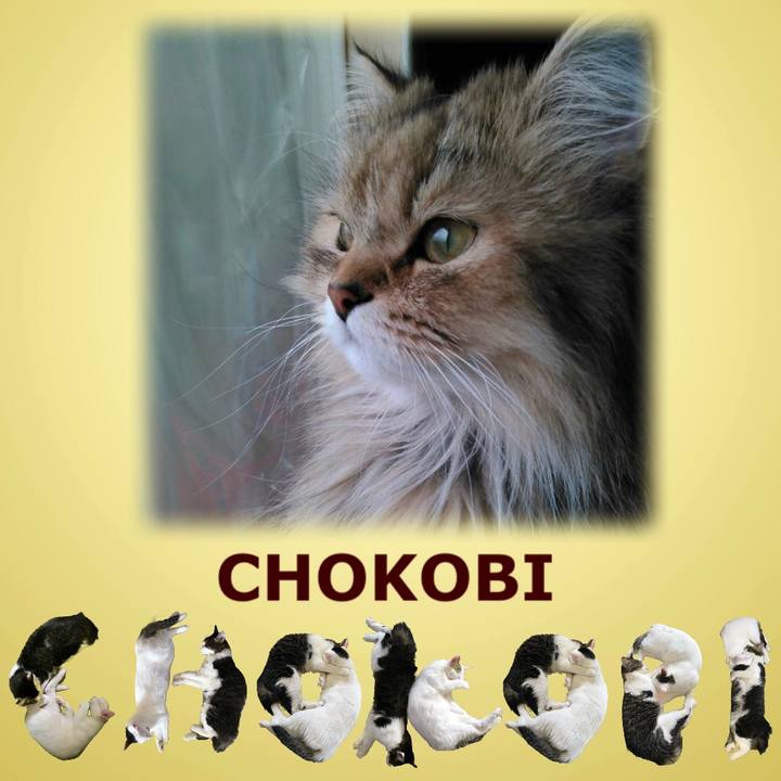 A80c526a 3060 4627 a19c be009b1acc0e 1669603400918