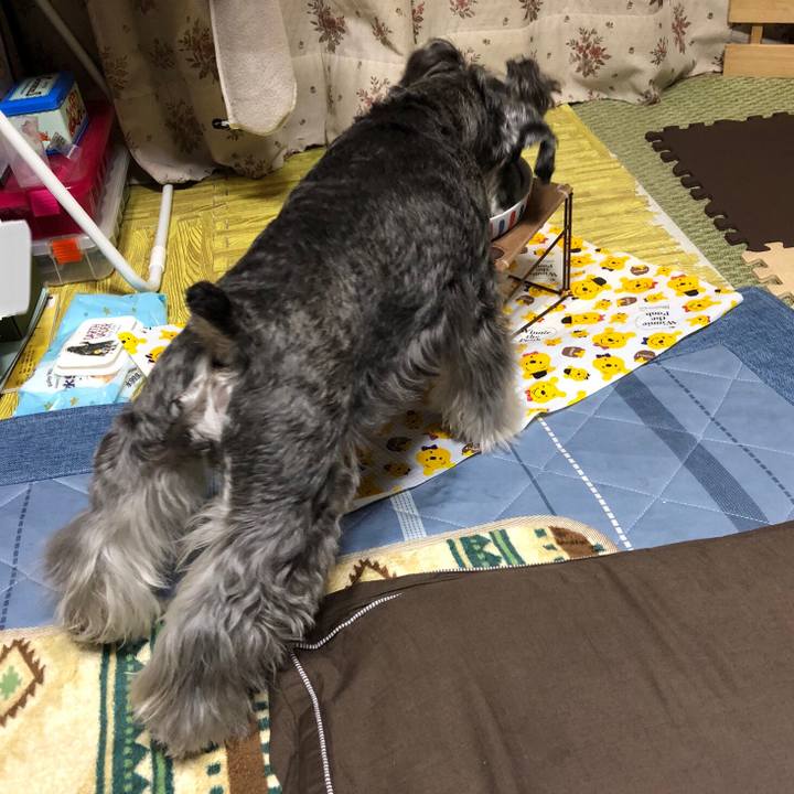 A80c9109 e320 48bc add7 bb21838a5b2b 1705830777305