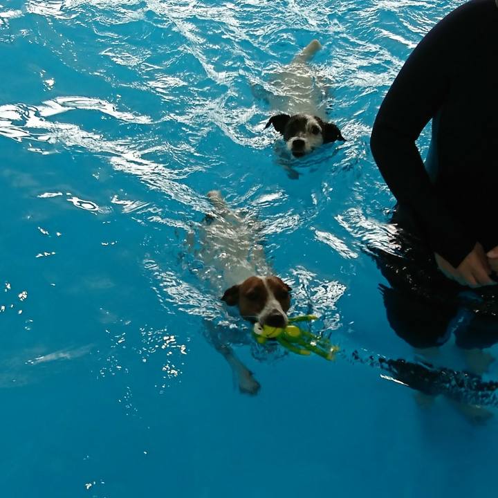 A80cc095 5f4c 48e4 b540 929afc6945d4 1561607046457