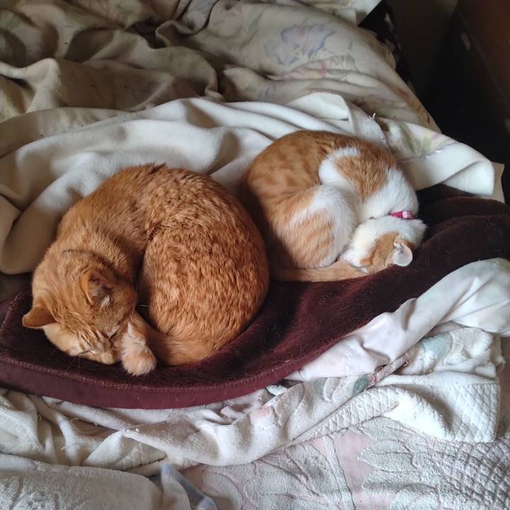 A80cde99 8557 4c3f a8ad 140c03229859 1742860252523