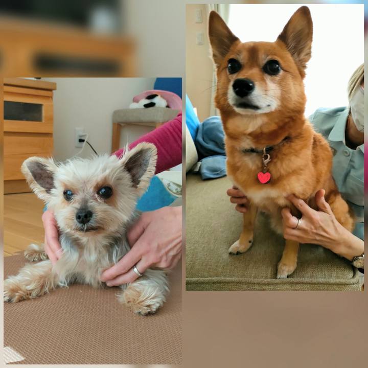 A80d21ab c56a 43f0 9e2b 825a0cad58cc 1645323990399