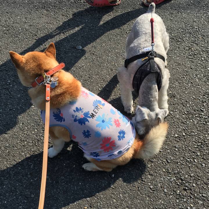 A80d7c7a b891 49d8 9f6e 33ab6cc27b05 1564878484585