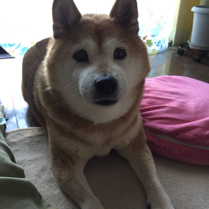 A80db2d0 e7d0 4f3a 8227 dfd98af3f925 1551999756655