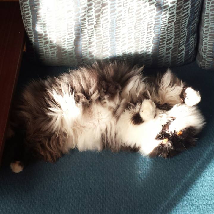 A80de030 282c 4150 8934 f3b8922a08a4 1515802404465