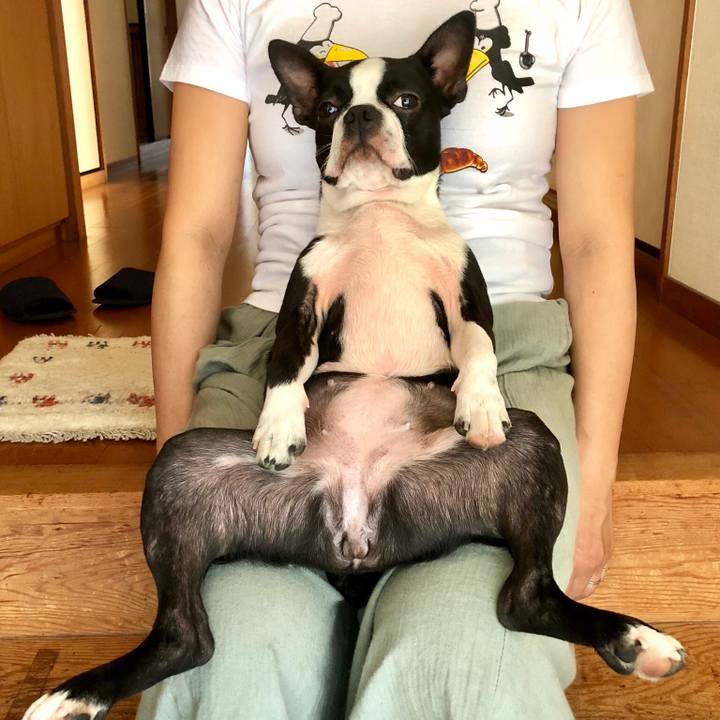 A80e3471 521a 4c9e 8581 9ae1b1d715ca 1527989985511