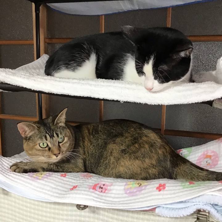 A80e6172 e341 4c8a a09a 18cbaee7d0eb 1635756380164